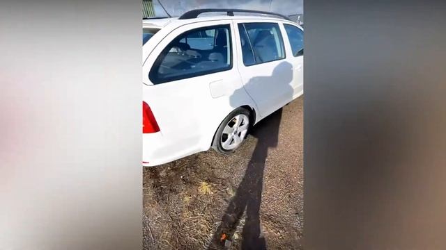 Пригон авто из Европы Литва. смотреть онлайн