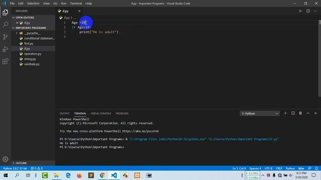 Programming Essentials-Python Bangla Tutorial | if if-else elif смотреть онлайн