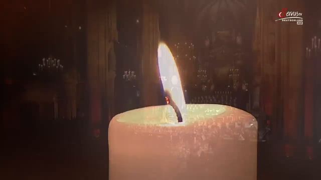 Vienna Philharmonic-2021 Vienna New Year's Christmas Concert｜Weihnachtskonzert Aus Stephansdom