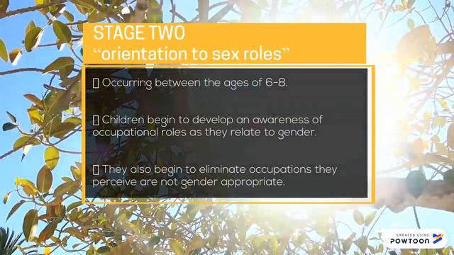 Gottfredson's Theory of Occupational Aspirations смотреть онлайн