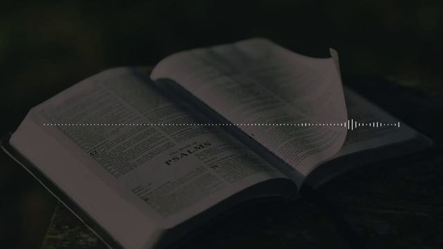 Юрий Хованский о книгах и интеллекте смотреть онлайн