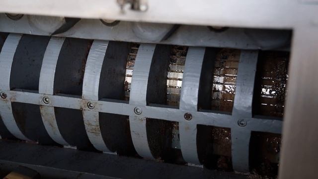 DW Jojoba Oil by Vantage™, sustainable and fully traceable, From Farms to Formulations™ смотреть онлайн