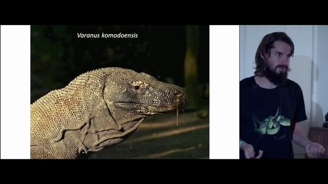 Когда рептилии стали ядовитыми? Леонид Неймарк смотреть онлайн