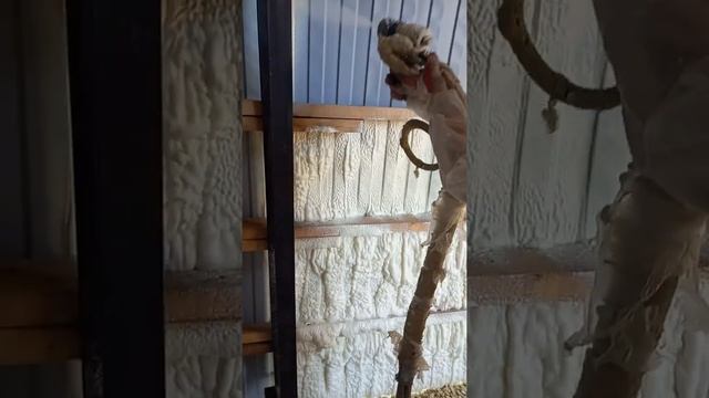 утепление ангара пеной ппу (пенополиуретаном) в Гатчине - 8 911 818 30 04 смотреть онлайн