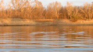 Астрахань Рыбалка в Апреле 2015 Река Енотаевка