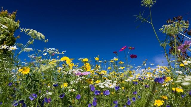 Против аллергии  Бинауральные ритмы