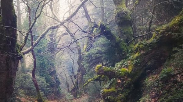 The First 100 Levels of the Backrooms EXPLAINED