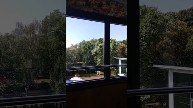 Вена. Колесо обозрения смотреть онлайн