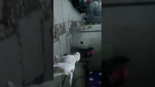 😆😆😆 просто играется не надо плохого мнения смотреть онлайн