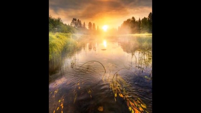 Души твоей картина... #песни #любовь #бабушка смотреть онлайн