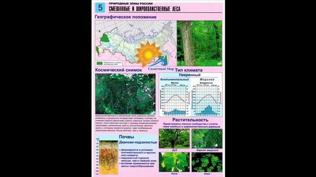 Комплект таблиц по географии "Природные зоны России" (цвет, А4, 10 шт.) - видео презентация. смотреть онлайн