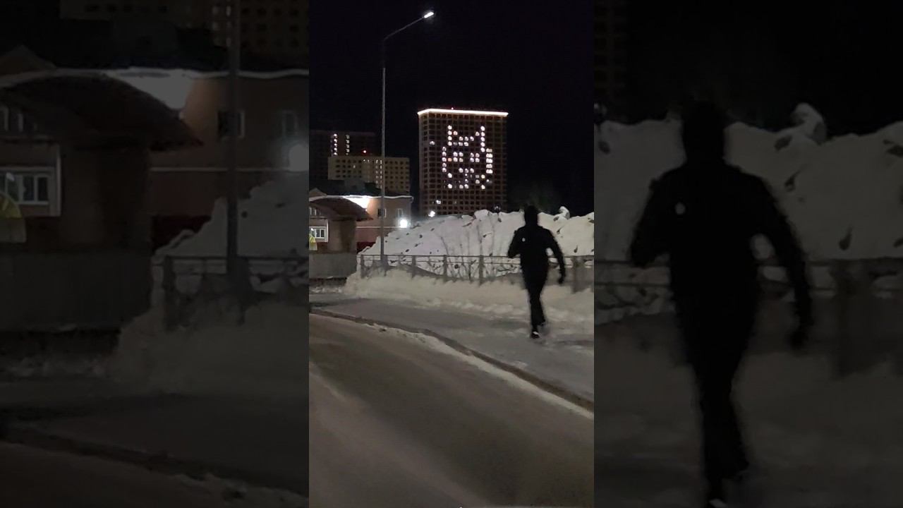 Тюменский котик Корней смотреть онлайн