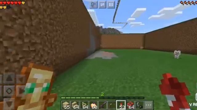 Minecraft (Wii Kii, 05.12.2020) смотреть онлайн