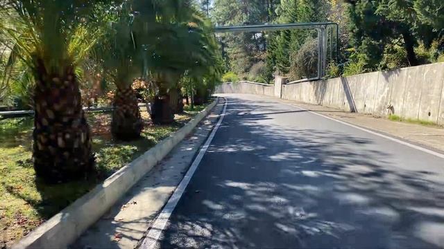 Дорога к морю смотреть онлайн