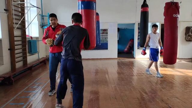 Тренер Кенжебаев Акназар. Работа на лапах. смотреть онлайн