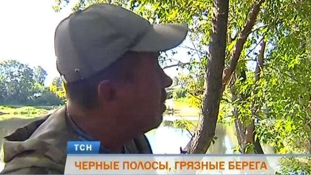 В Перми берег Мулянки из-за водорослей покрылся темными пятнами смотреть онлайн