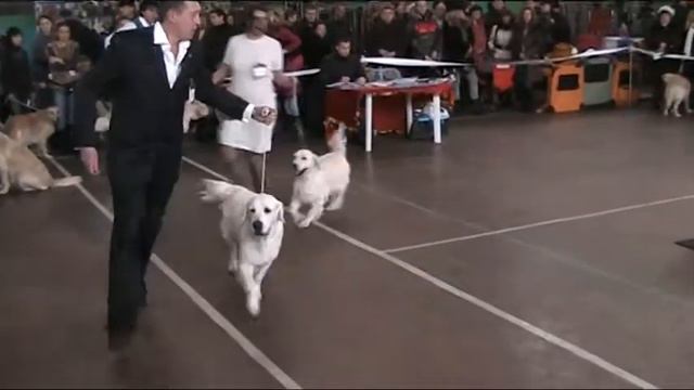 Сравнение Юниоры смотреть онлайн