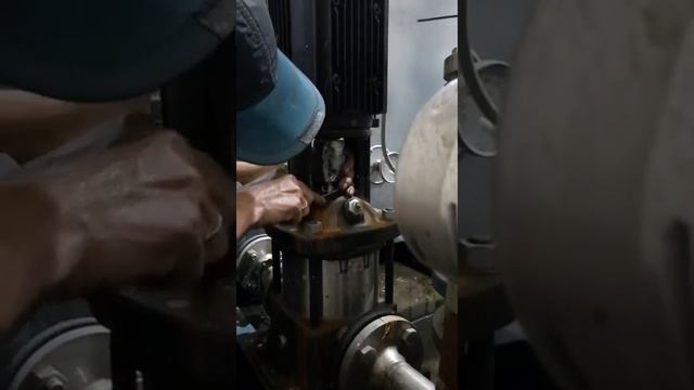 Lắp seal bơm Grundfos CR10 смотреть онлайн