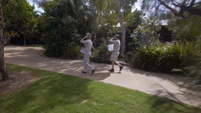 Saving Animals at the Australia Zoo Animal Hospital смотреть онлайн