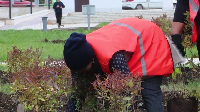 Парк им. Ленина в Оренбурге украсили кустами спиреи