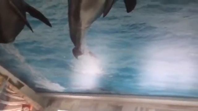 Фотопечать на сатиновом натяжном потолке 3D эфект смотреть онлайн