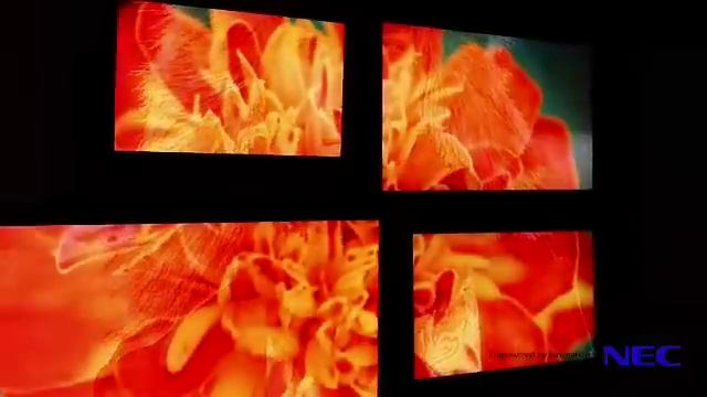 NEC Display Solutions demonstrates success at the 2010 Solutions Showcase смотреть онлайн