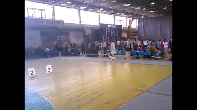 Воронеж Моно ВХВТ.avi смотреть онлайн