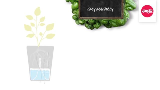 Горшок с автополивом EMSA смотреть онлайн