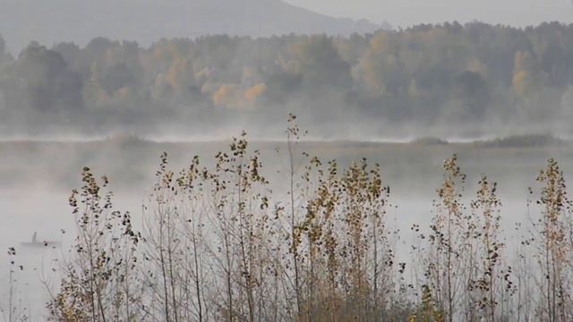 ОСЕННЕЕ УТРО 23 09 2017г ДЫМ НАД ВОДОЙ смотреть онлайн