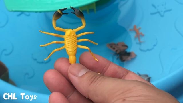 Insects for children - animals for kids, learn animals with beetles, insects for children смотреть онлайн