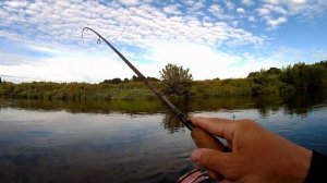 ВОТ ЭТО РЫБАЛКА!!! ТРОЙНИК В РУКЕ. СЛАБОНЕРВНЫМ НЕ СМОТРЕТЬ!