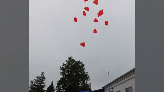 ГКОУ КК школа-интернат ст-цы Родниковской выпускной 2020 9б смотреть онлайн