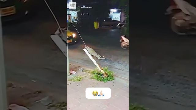 Это все ложь