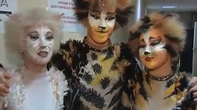 Удивительный мир кошек, часть 1 смотреть онлайн