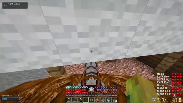 ALL VILLAGERS ARE SCAMMERS | RLCraft Shivaxi Config - Ep 20 смотреть онлайн