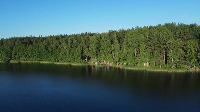 Белое озеро! Прозрачная вода, сосновый лес и санаторий. Шатурский район, 150 км от Москвы. смотреть онлайн