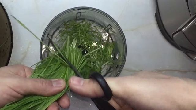 Витграсс, сок из проростков пшеницы, лечение опухоли смотреть онлайн