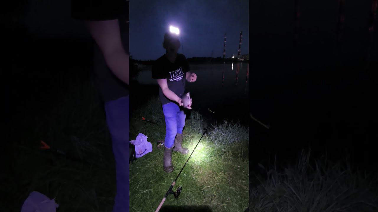 Рыбалка на фидер Ловля леща ночью #shortvideo #fishing #рыбалка #fishingvideo #лещнафидер #fish смотреть онлайн