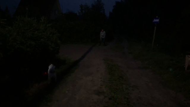 Реакция моей собаки🐶 на квадрокоптер смотреть онлайн