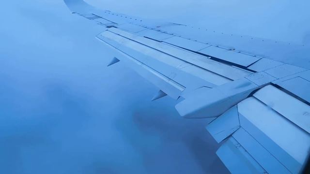 перелет из Сочи в Москву. посадка во Внуково. смотреть онлайн