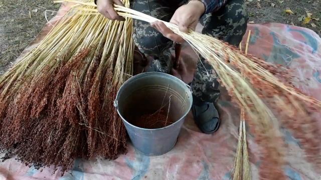Веник сорго своими руками, подготовка материала смотреть онлайн