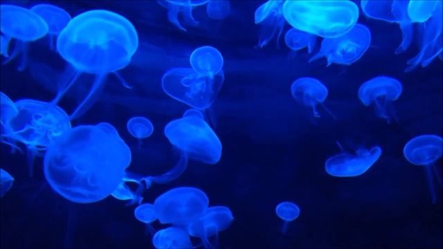 Aad Guray Nameh - Ramadasa - Kundalini Yoga Mantra смотреть онлайн