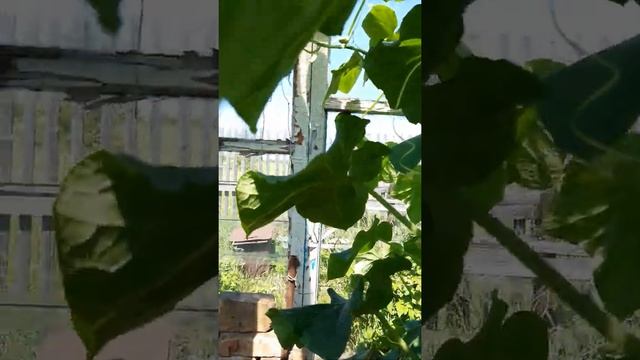 Конструкция печи смотреть онлайн