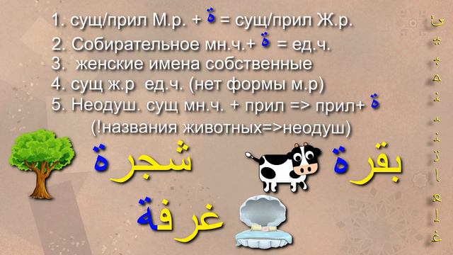 Та марбута❗Что это и зачем нужна. Арабская грамматика. Транскрипция в описании📌 смотреть онлайн