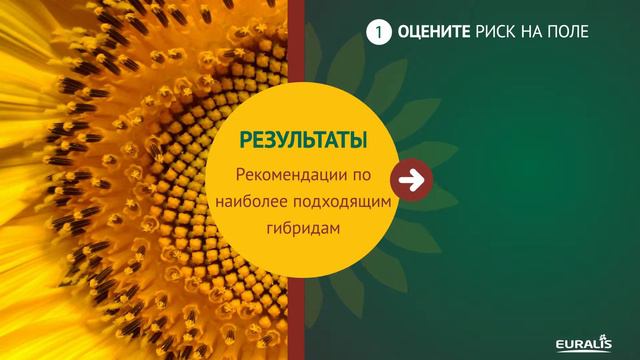 EURALIS APPlication OR Master смотреть онлайн