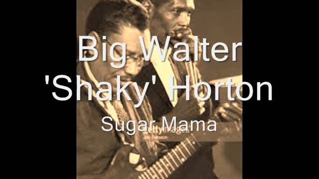 Big Walter Horton-Sugar Mama смотреть онлайн