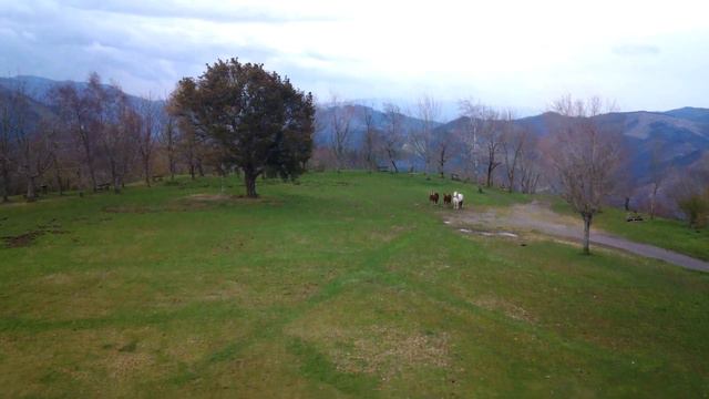 C-FLY FAITH 2 DRON смотреть онлайн