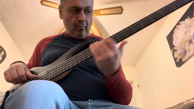 Ibanez Gary Willis Fretless Bass GWB35@gagiktoroyan1288 смотреть онлайн