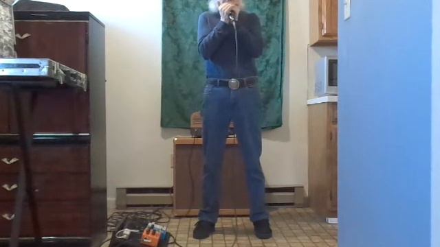 Jason Ricci Signature Mic and HT40 Amp from Lone Wolf Blues Company Demo смотреть онлайн