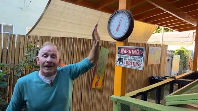 Baby Sheldon turns 1 on Stream’in Sunday 10/30 @ 9am смотреть онлайн